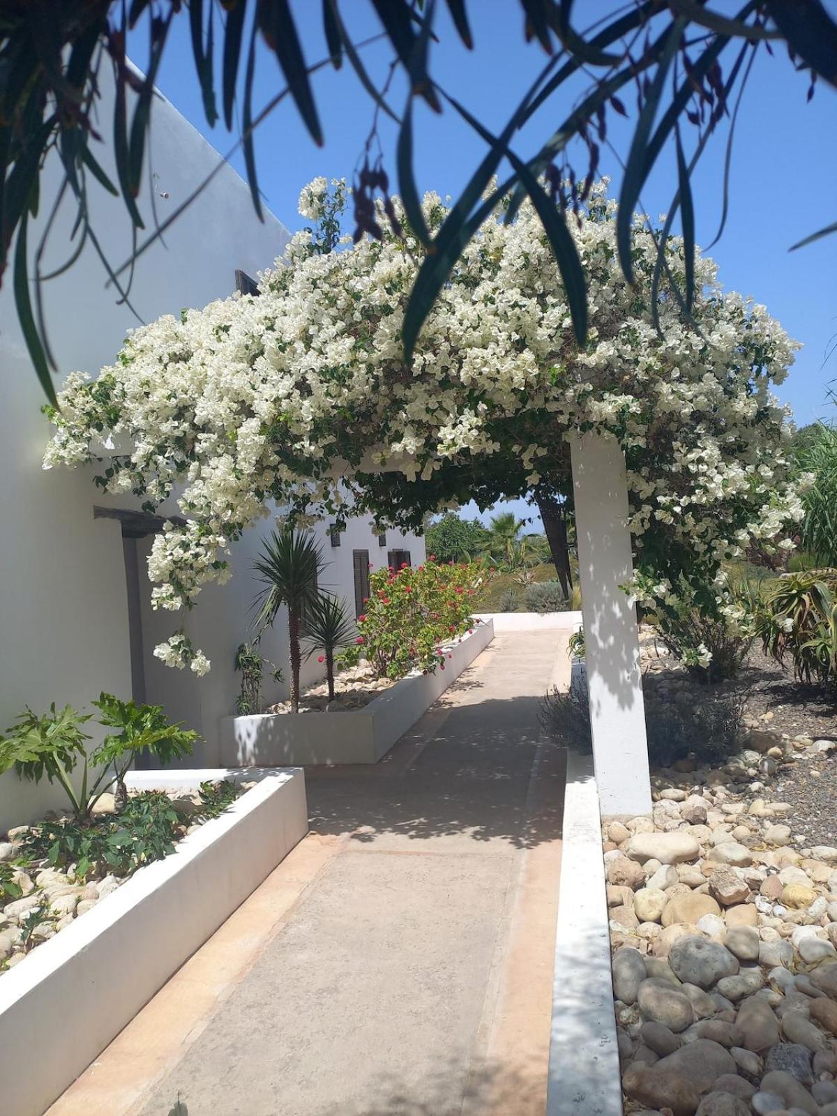 Les Jardins De Silona, Piscine Chauffee Ξενοδοχείο Εσαουίρα Εξωτερικό φωτογραφία