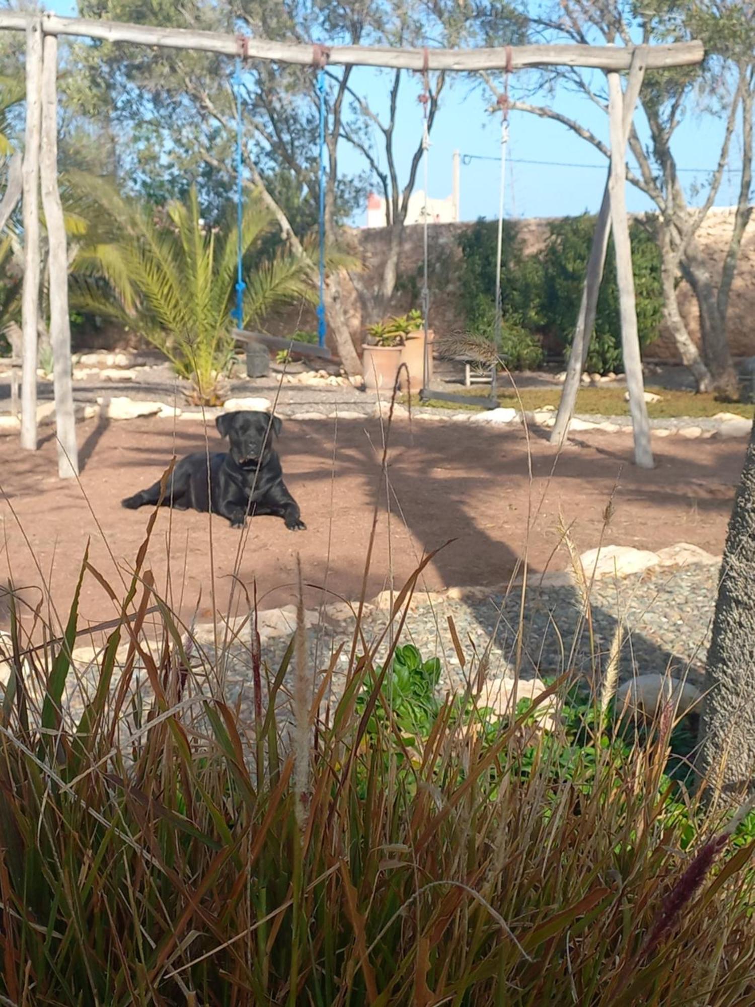 Les Jardins De Silona, Piscine Chauffee Ξενοδοχείο Εσαουίρα Εξωτερικό φωτογραφία