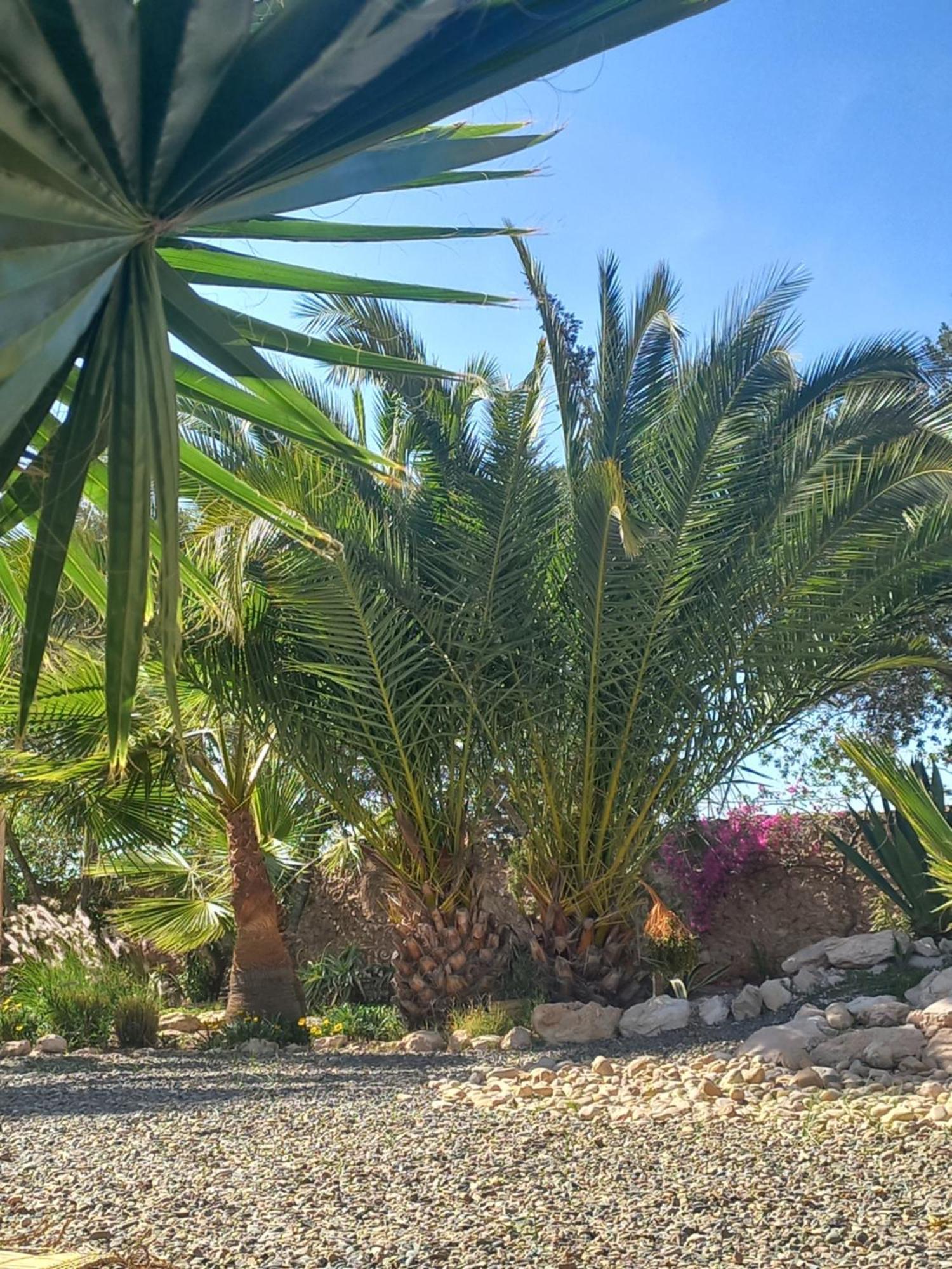 Les Jardins De Silona, Piscine Chauffee Ξενοδοχείο Εσαουίρα Εξωτερικό φωτογραφία