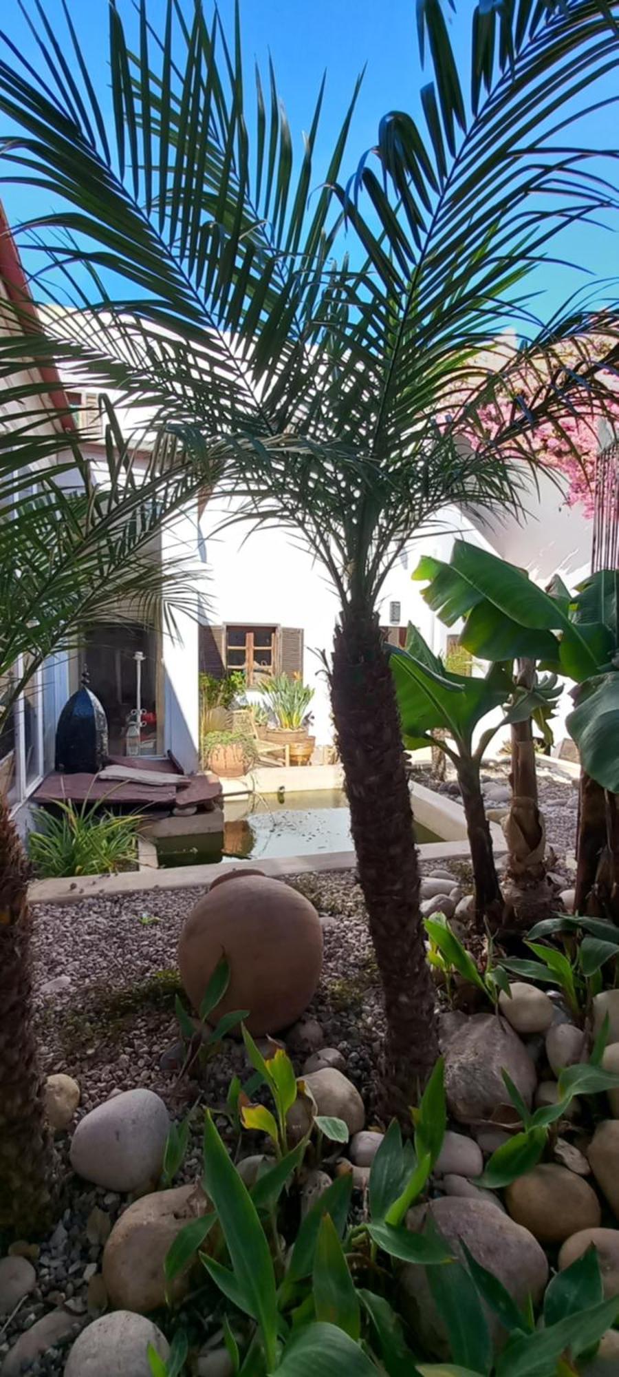 Les Jardins De Silona, Piscine Chauffee Ξενοδοχείο Εσαουίρα Εξωτερικό φωτογραφία